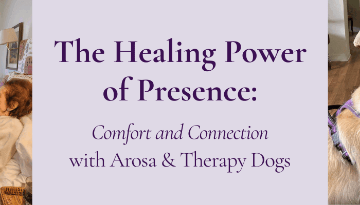 Therapy dogs bringing comfort and connection to Arosa clients.
