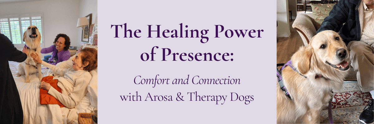 Therapy dogs bringing comfort and connection to Arosa clients.