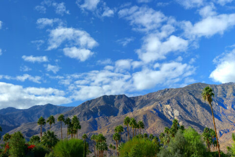 Arosa home care services in Santa Barbara, California with coastal city view