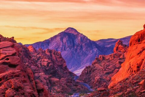 Arosa home care services in Reno, Nevada with caregiver assisting senior at home in a comfortable setting