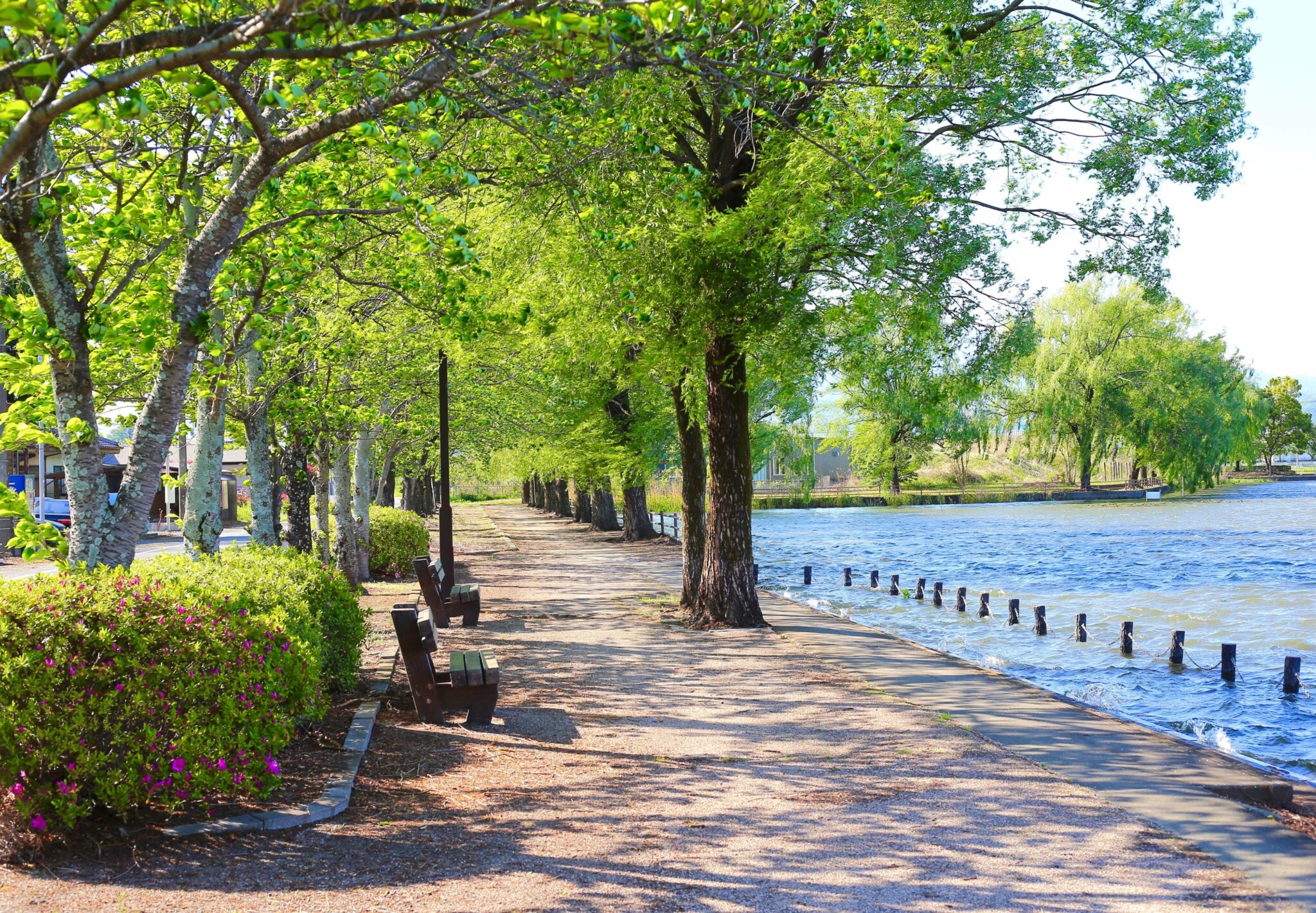 Arosa home care services in Fuquay-Varina, North Carolina with caregiver assisting senior at home in a comfortable setting