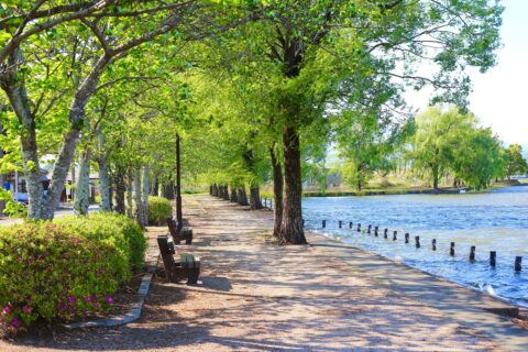 Arosa home care services in Fuquay-Varina, North Carolina with caregiver assisting senior at home in a comfortable setting